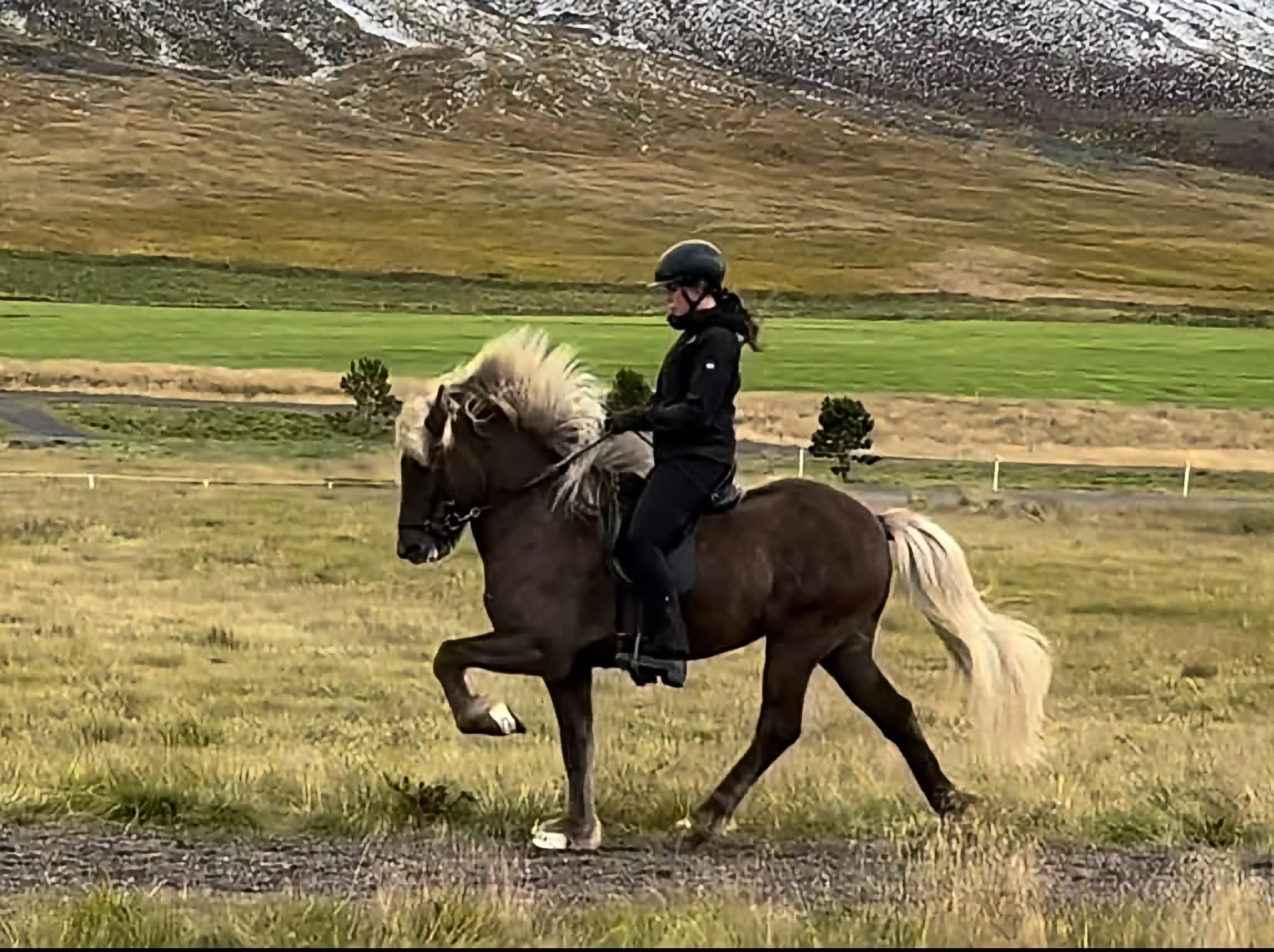 Fransiskus frá Vestur-Meðalholtum
